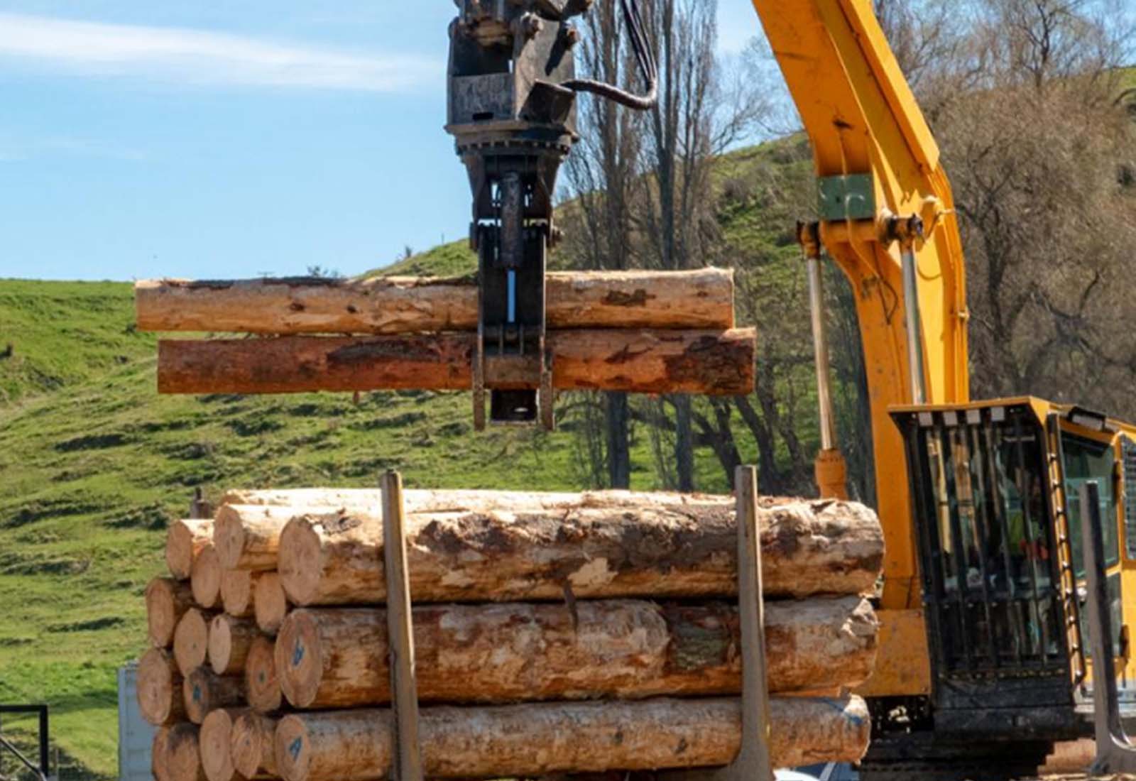 Grab Wood